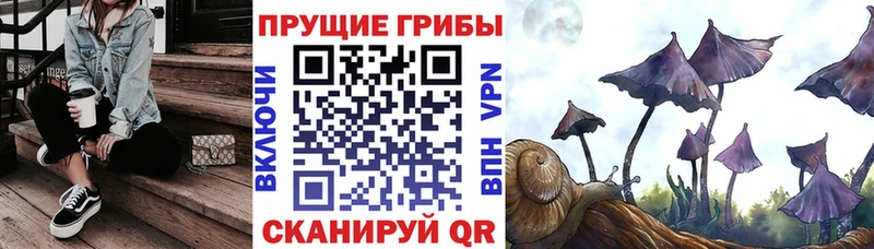 Галлюциногенные грибы мухоморы  Купить где  Буй 
